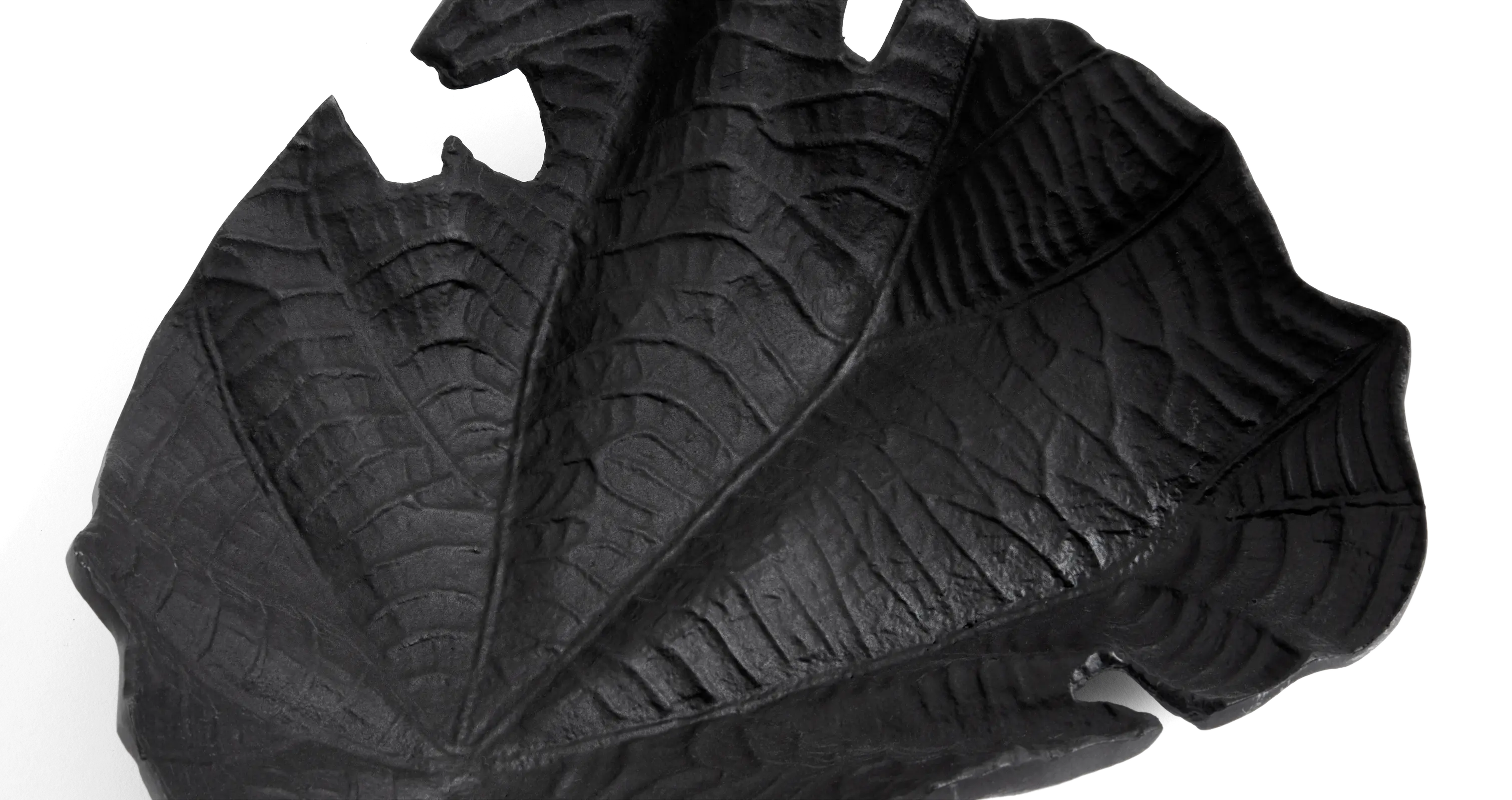 Velvet leafスカルプチャー | Sculpture | Velvet Leaf | | ボーコンセプト Velvet leafスカルプチャー | Sculpture | Velvet Leaf | | ボーコンセプト